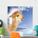 Crying alpaca in front of blue sky Wall Mural