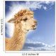 Crying alpaca in front of blue sky Wall Mural