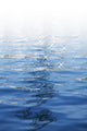 The shimmer of water Wall Mural
