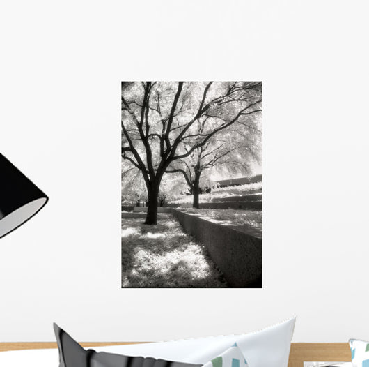 Infrared Trees