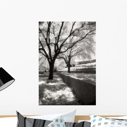 Infrared Trees