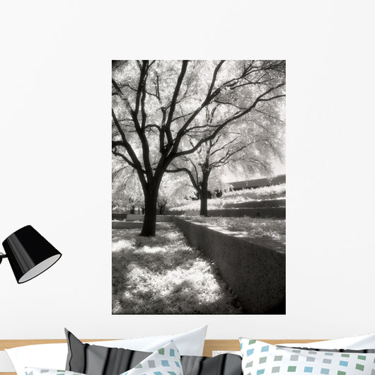 Infrared Trees