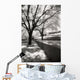 Infrared Trees