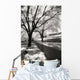 Infrared Trees