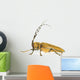Insect Long Horn Beetle Wall Mural
