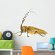 Insect Long Horn Beetle Wall Mural