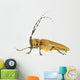 Insect Long Horn Beetle Wall Mural