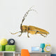 Insect Long Horn Beetle Wall Mural