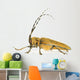 Insect Long Horn Beetle Wall Mural