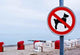 Dog Beach Wall Decal