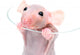 Close-up Hairless Rat Wall Decal