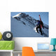 Ski Mountaineering Wall Mural
