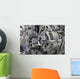 Closeup Car Alternator