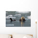 Sea Otter Swims On It's Back Amidst The Sea Ice Wall Mural