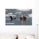 Sea Otter Swims On It's Back Amidst The Sea Ice Wall Mural