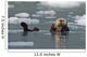 Sea Otter Swims On It's Back Amidst The Sea Ice Wall Mural