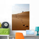 Liwa Desert 27 Wall Decal