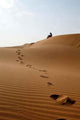 Liwa Desert 27 Wall Decal