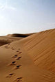 Liwa Desert 18 Wall Decal