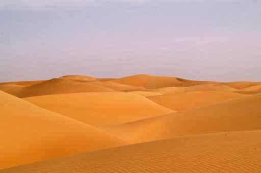 Liwa Desert 16 Wall Decal