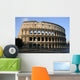 the colosseum Wall Mural