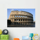 the colosseum Wall Mural