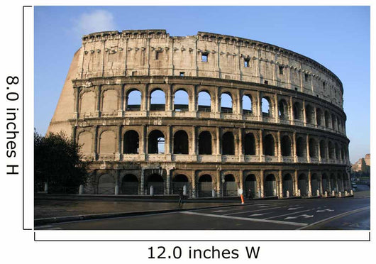 the colosseum Wall Mural