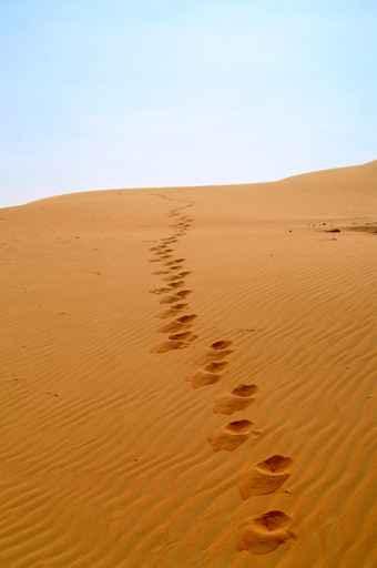 Liwa Desert 1 Wall Decal