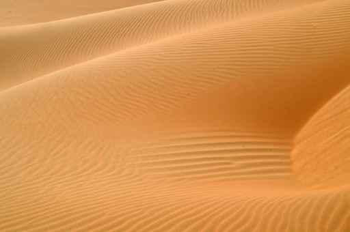 Liwa Desert 6 Wall Decal