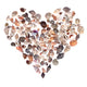 Seashell Heart Wall Decal