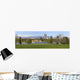 Denver Skyline From City Park Panorama Wall Mural