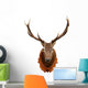 Deer Head Isolated on White Background Wall Decal