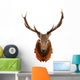 Deer Head Isolated on White Background Wall Decal