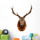 Deer Head Isolated on White Background Wall Decal