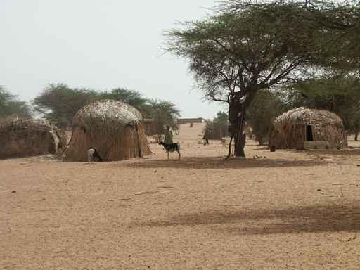 Village Africa Wall Decal Design 2