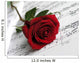 Love Song for You Wall Mural