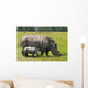 white rhinoceros with 2 weeks calf Wall Mural