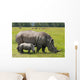 white rhinoceros with 2 weeks calf Wall Mural