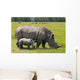 white rhinoceros with 2 weeks calf Wall Mural