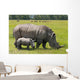 white rhinoceros with 2 weeks calf Wall Mural