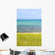 Sand Dunes Beach Wall Mural