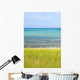 Sand Dunes Beach Wall Mural