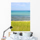 Sand Dunes Beach Wall Mural