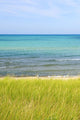 Sand Dunes Beach Wall Mural