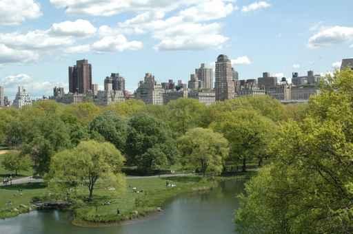 Central Park 3 Wall Decal