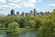 Central Park 3 Wall Decal