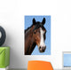 The Horses Head Wall Mural