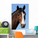 The Horses Head Wall Mural