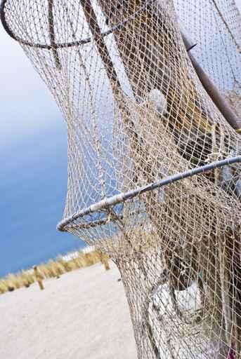 Fishing Net Wall Decal
