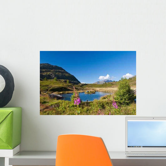 Simplon Pass Switzerland Mountain Wall Decal